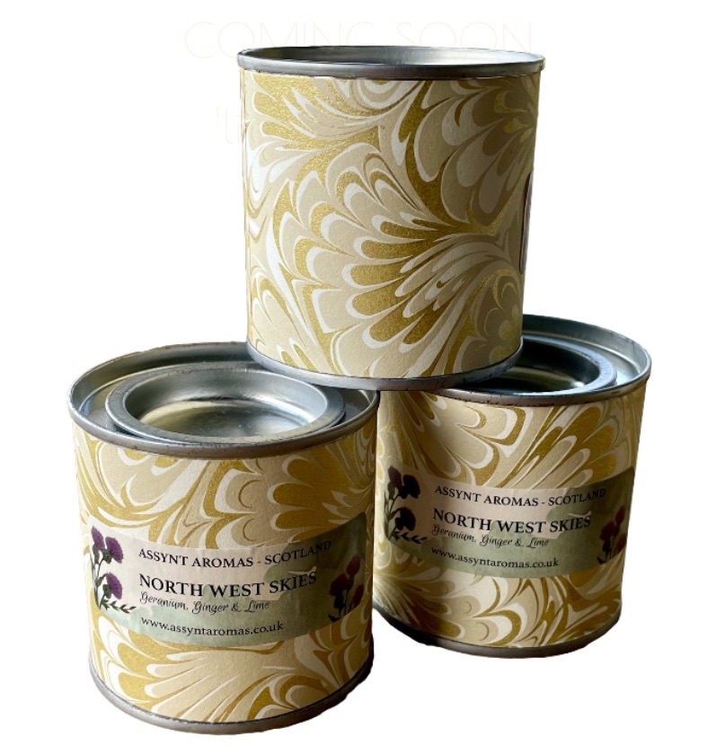 *20% OFF* REDUCED TO CLEAR …. North West Skies Candle in a Tin (gold paper)