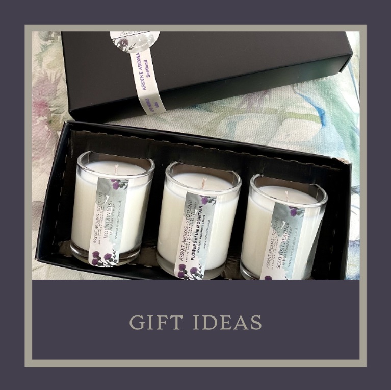 GIFT IDEAS