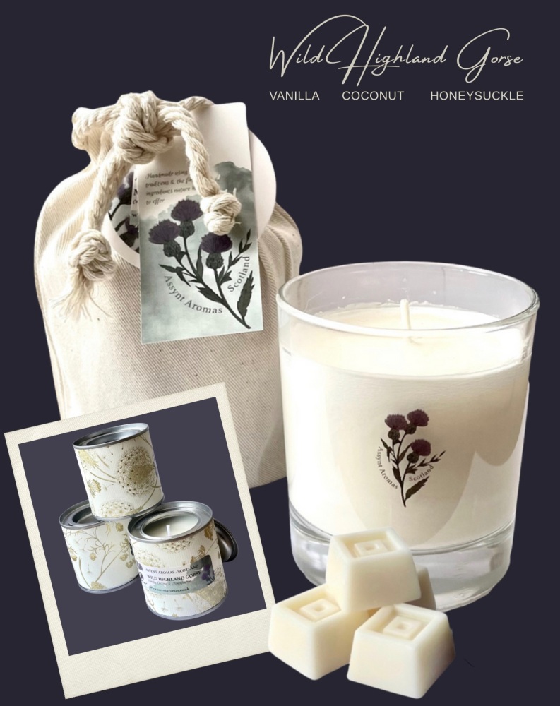 WILD HIGHLAND GORSE - coconut, vanilla & honeysuckle