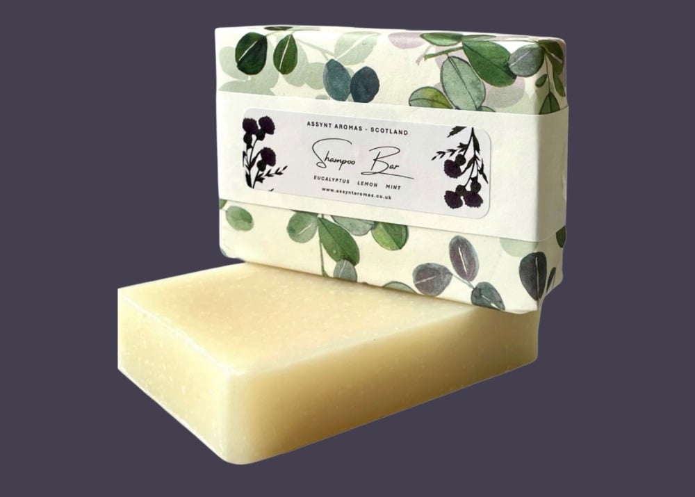 SHAMPOO & BODY BAR - Eucalyptus , Lemon & Mint (suitable for normal - dry h