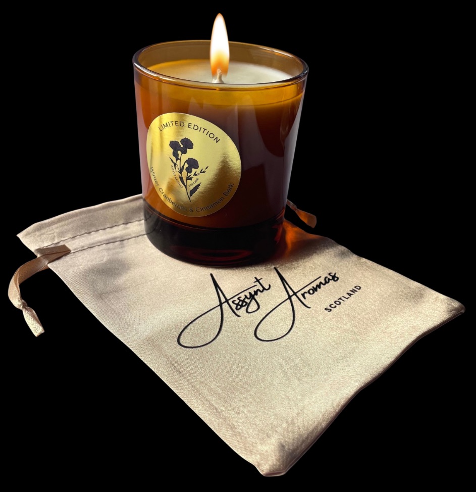 ‘limited edition’ WINTER CRANBERRIES, ORANGE OIL & CINNAMON BARK CANDLE in gold gift bag