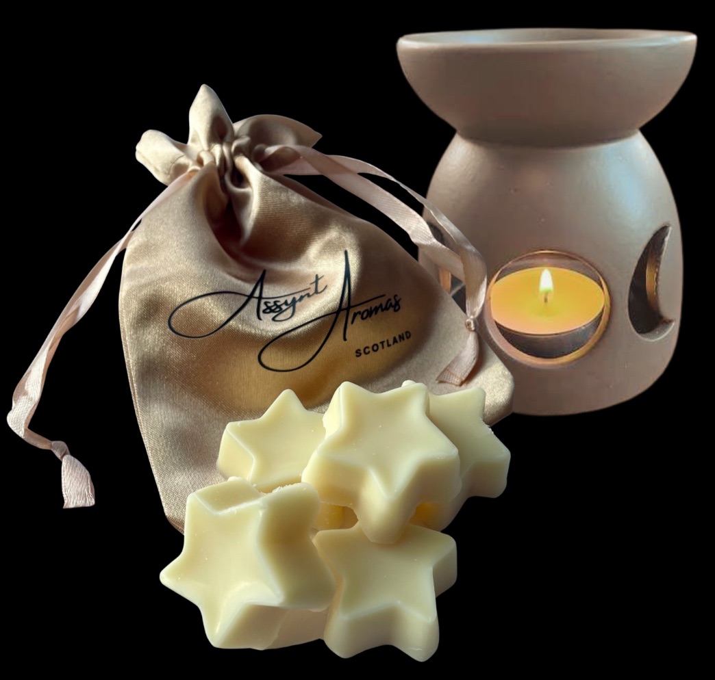 ‘limited edition’ WINTER CRANBERRIES, ORANGE OIL & CINNAMON BARK WAX MELTS in gold gift bag