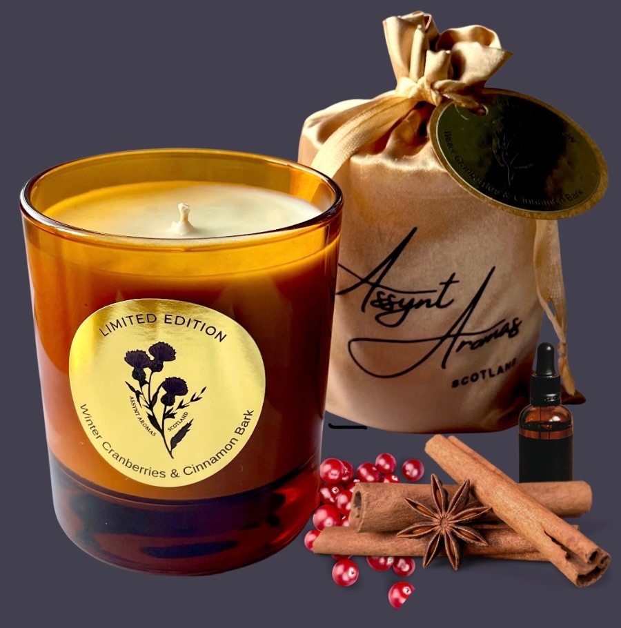 ‘limited edition’ WINTER CRANBERRIES, ORANGE OIL & CINNAMON BARK CANDLE in gold gift bag