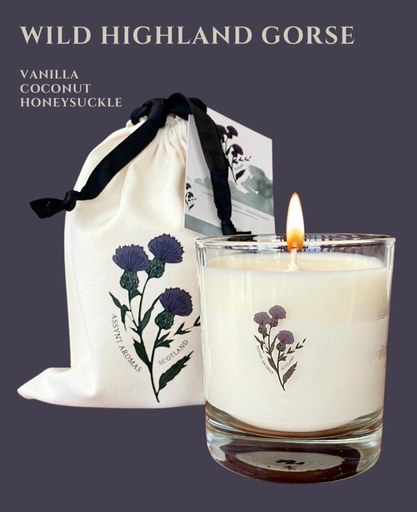 WILD HIGHLAND GORSE - coconut, vanilla & honeysuckle