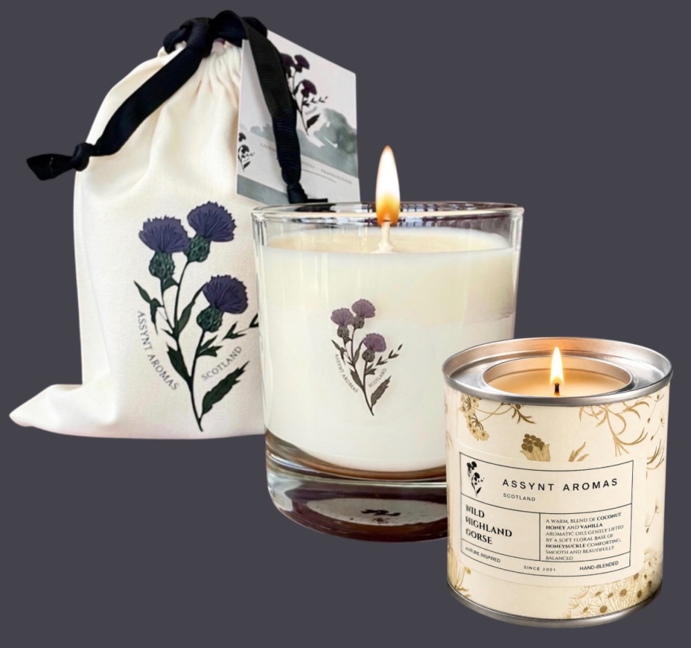 WILD HIGHLAND GORSE - coconut, vanilla & honeysuckle