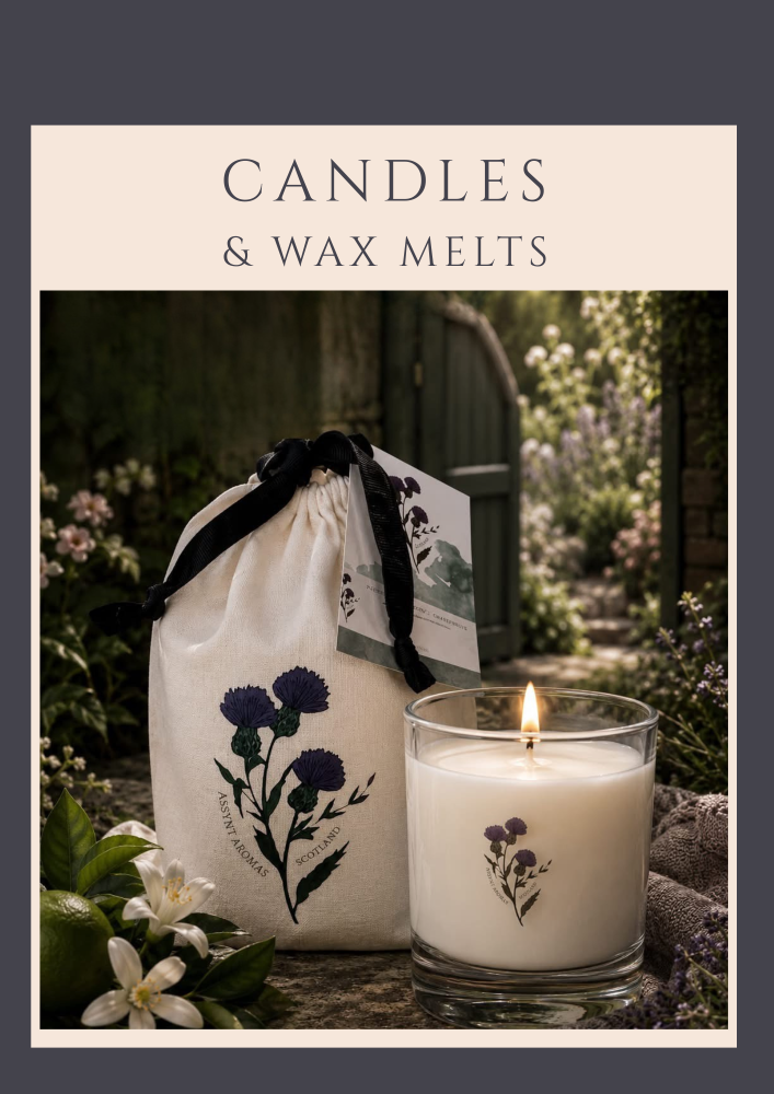 CANDLES & WAX MELTS