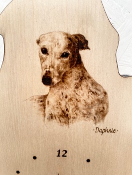 Greyhound portrait