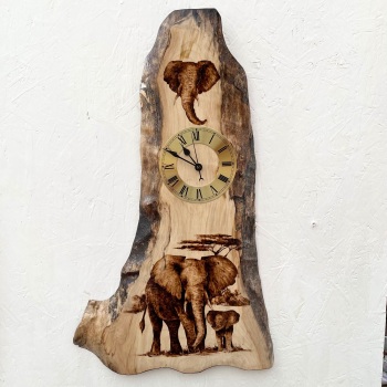 Elephant sycamore clock