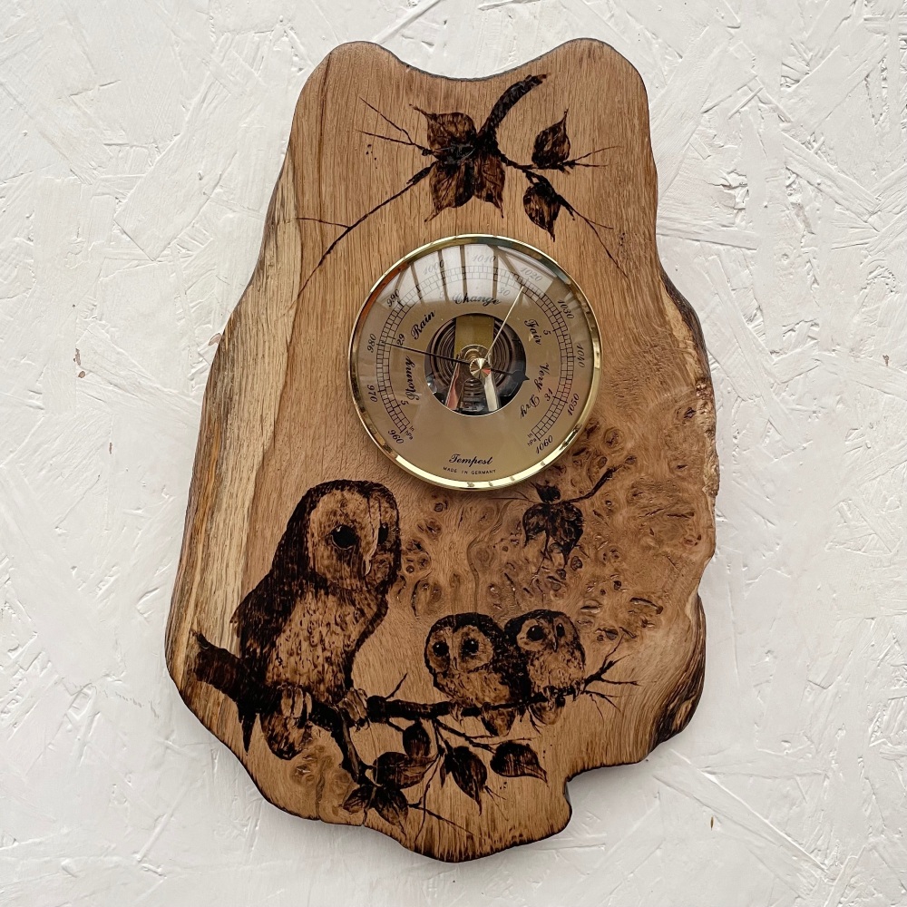 Owl family barometer