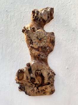 Barn owl on mappa burl