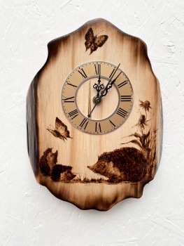 Hedgehog clock, alder