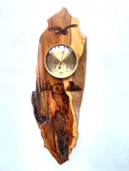 Barn Owl barometer weather station