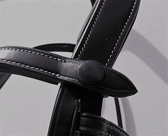 Browband fastened on bridle