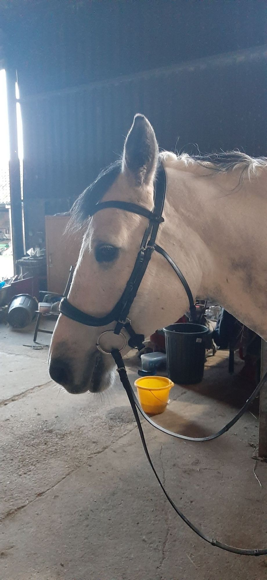 125247163_844669842951511_7931211984528963980_n