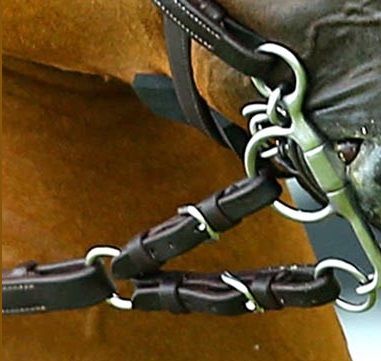 Anatomical Bridles - Horsemanship Saddlery