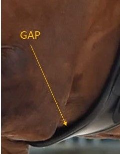 Anatomical girth with rear pressure