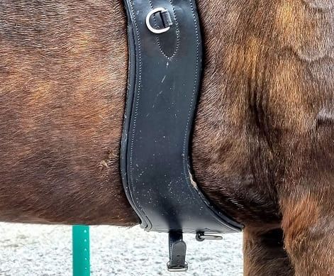 FreeStride log anatomical girth distributes pressure evenly