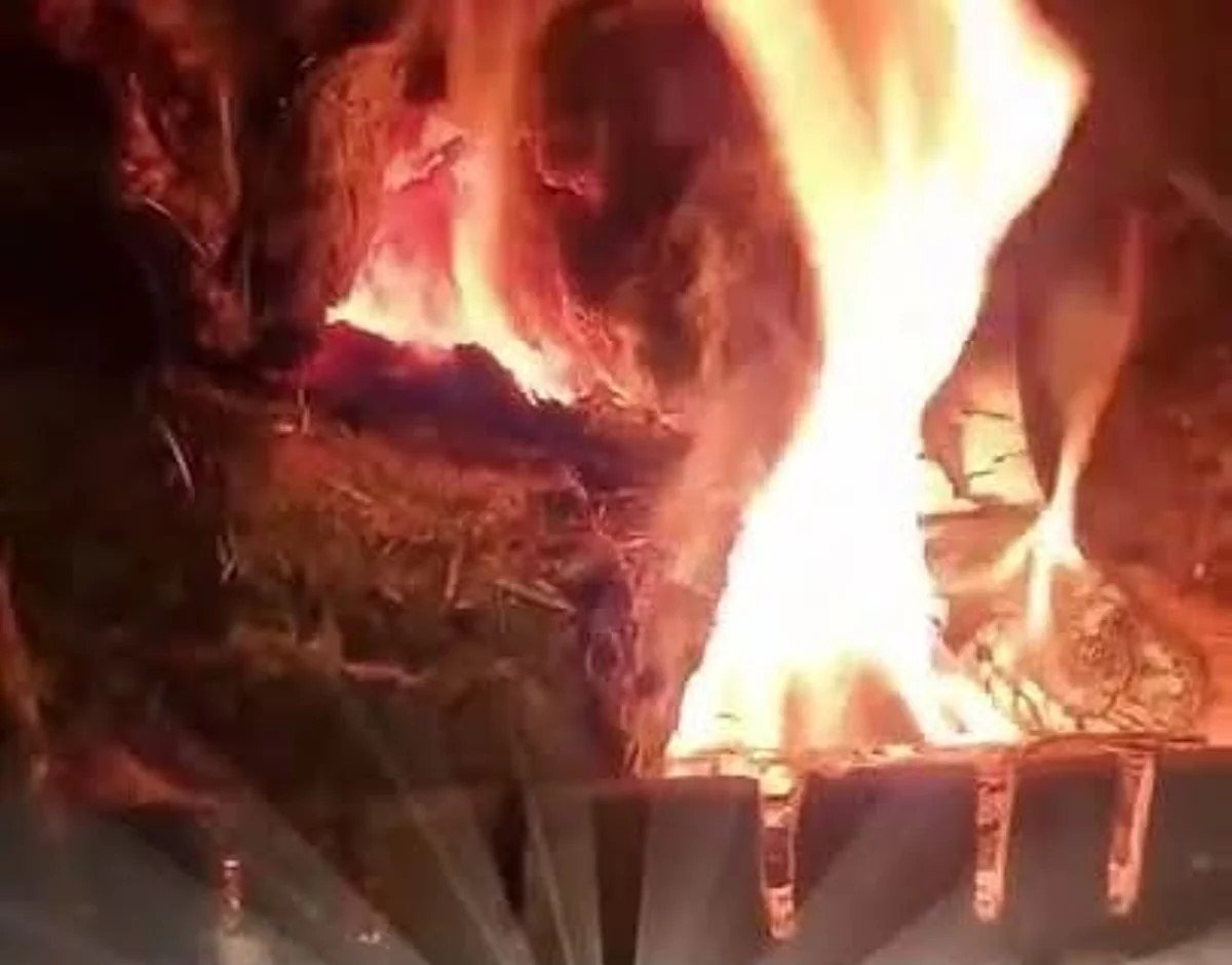 Horse manure bricks burning