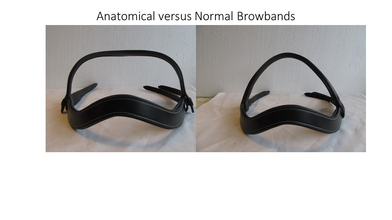 The Avante Anatomical Headpiece follows the contours of the horse's forehead