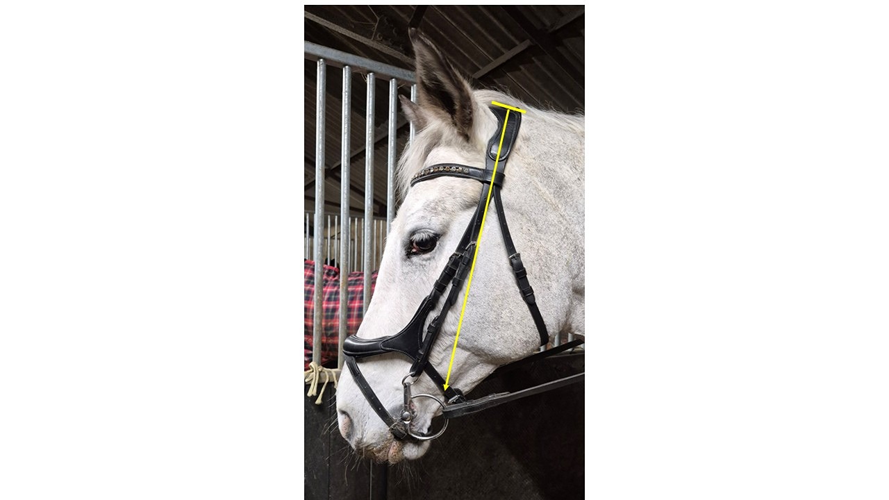 Incorrect Hanger Angle