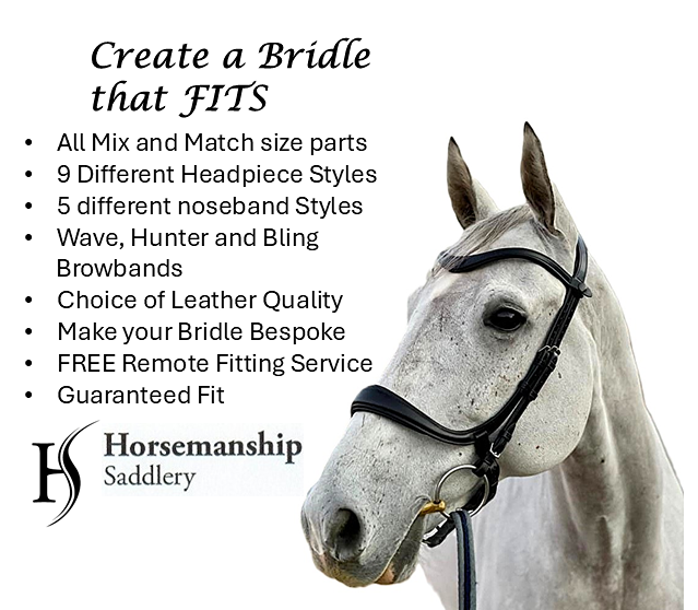 Anatomical Bridles that fit