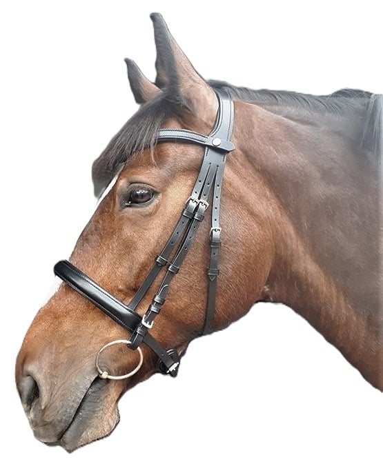 Saturn anatomical bridle
