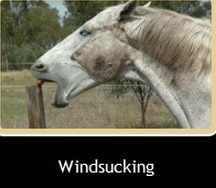 windsucking