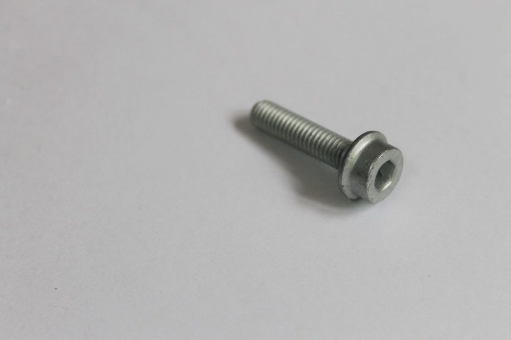 BMW Inner Hex Bolt M6x25 18211342835