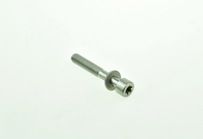 BMW ISA Screw M8x50.  46547699810