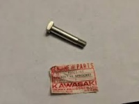 Kawasaki Rear Sprocket Bolt 92003-100 - C18