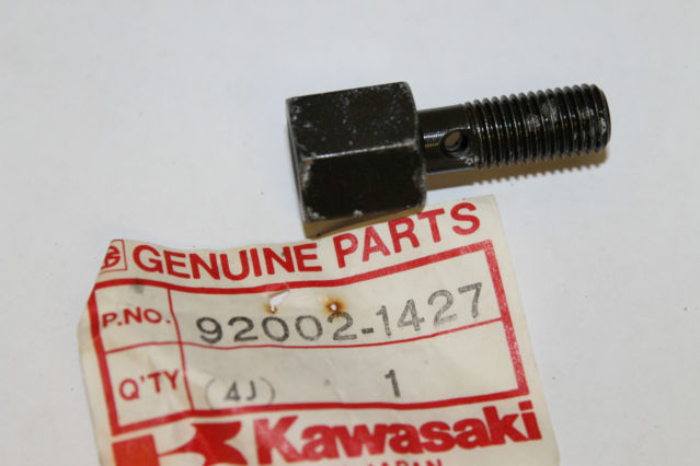 Kawasaki EL250 Eliminator EX250 Ninja 250R KAF450 Oil Switch Bolt p/n 92002