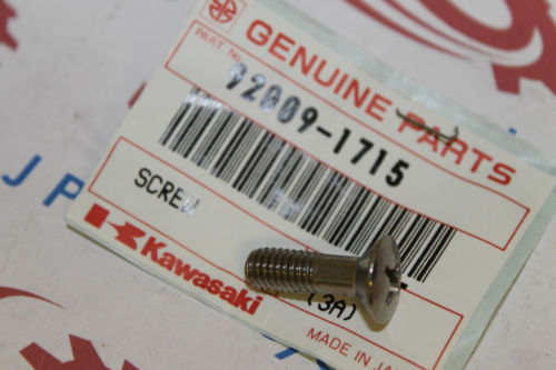 Kawasaki KLT250 VN700 VN750 Engine Cover Screw 92009-1715