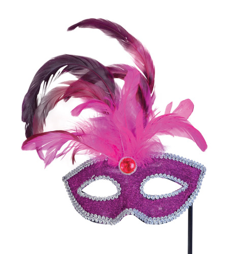 Feather mask with stick