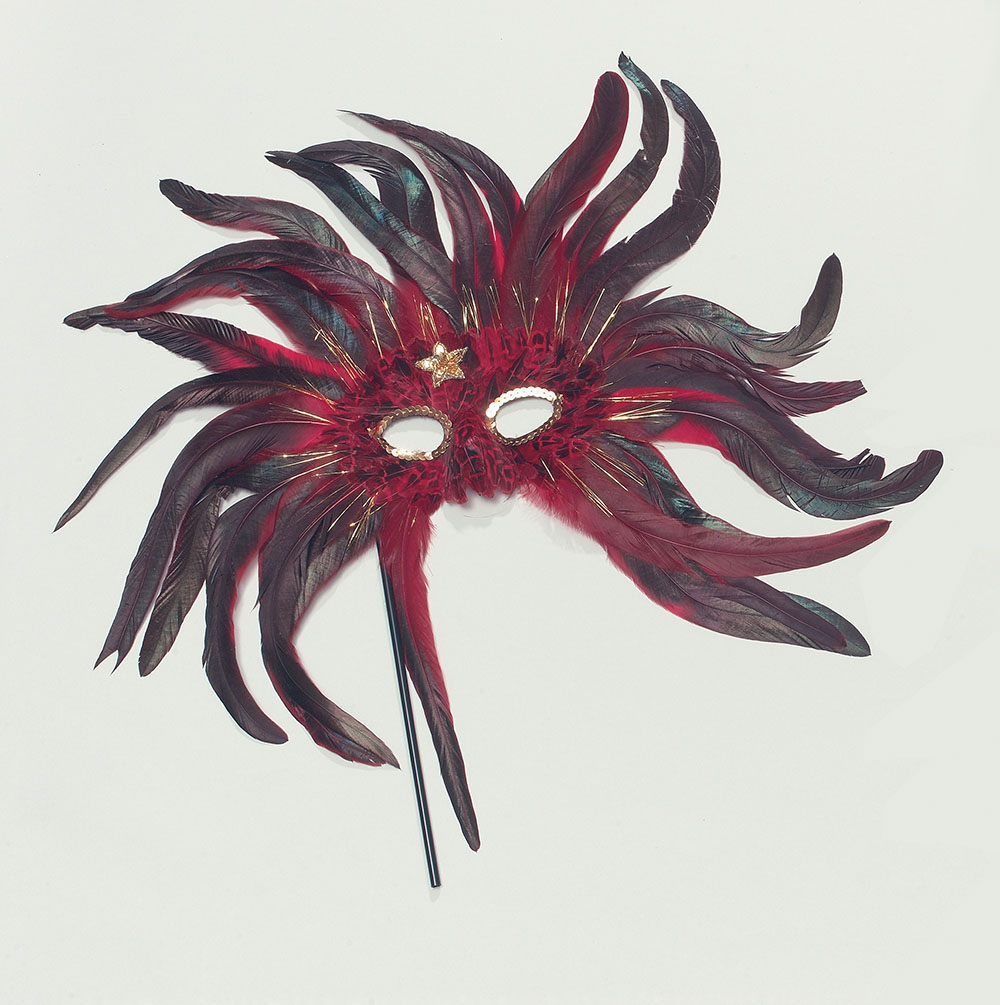 Feather eye mask with stick