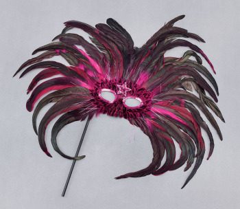 Feather mask on stick