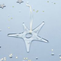 White and Clear Glass Star Decoration