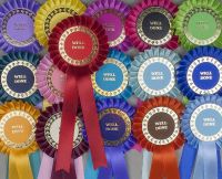 1st-4th or 1st-6th Set 1st-3rd Large 2-Tier Rosettes Classic 2-Tone 
