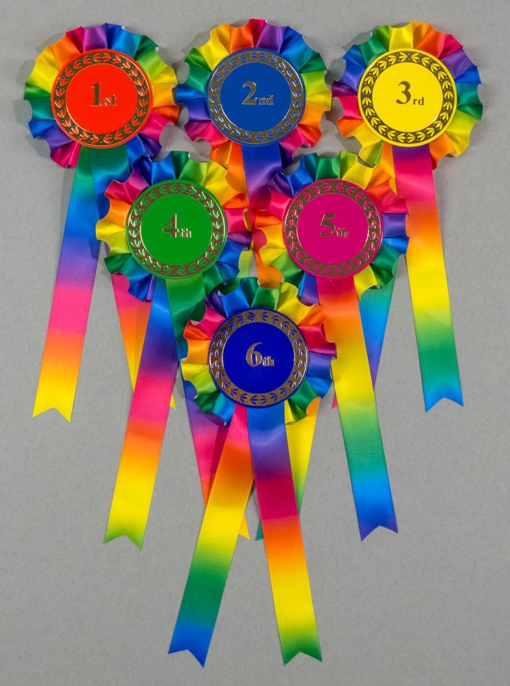 Rainbow Large 1-Tier Rosettes, Set 1st-3rd. 1st-4th or 1st-6th