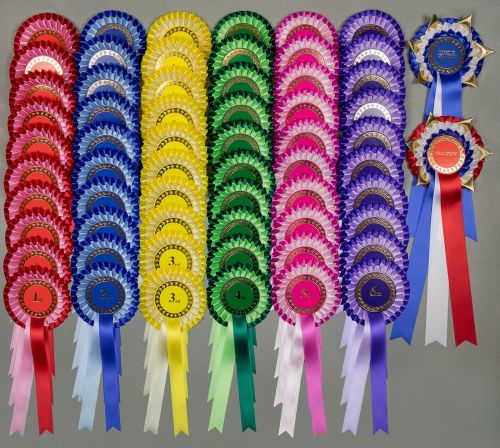 Complete Show Set, 2-tier Rosettes 10 Sets 1st-3rd, 1st-4th or 1st-6th +Ch/