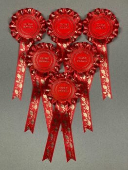 Christmas Holly, Red 1-Tier Rosettes, Set x 6 Special, Well Done or CR