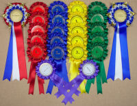 Complete Show Set - 44 LARGE Personalised Rosettes