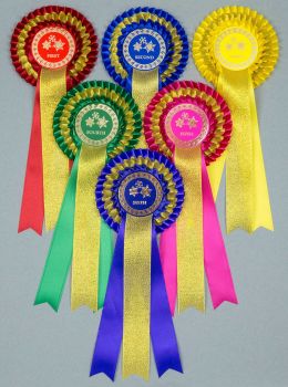 1st-4th or 1st-6th Christmas Golden Holly Rosettes 1st-3rd 