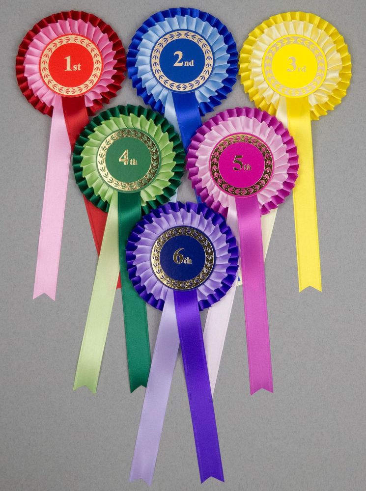 Classic 2-Tone,  Large 2-Tier Rosettes, Set of 1st-3rd, 1st-4th or 1st-6th