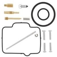 CARBURETTOR REBUILD KIT (294)