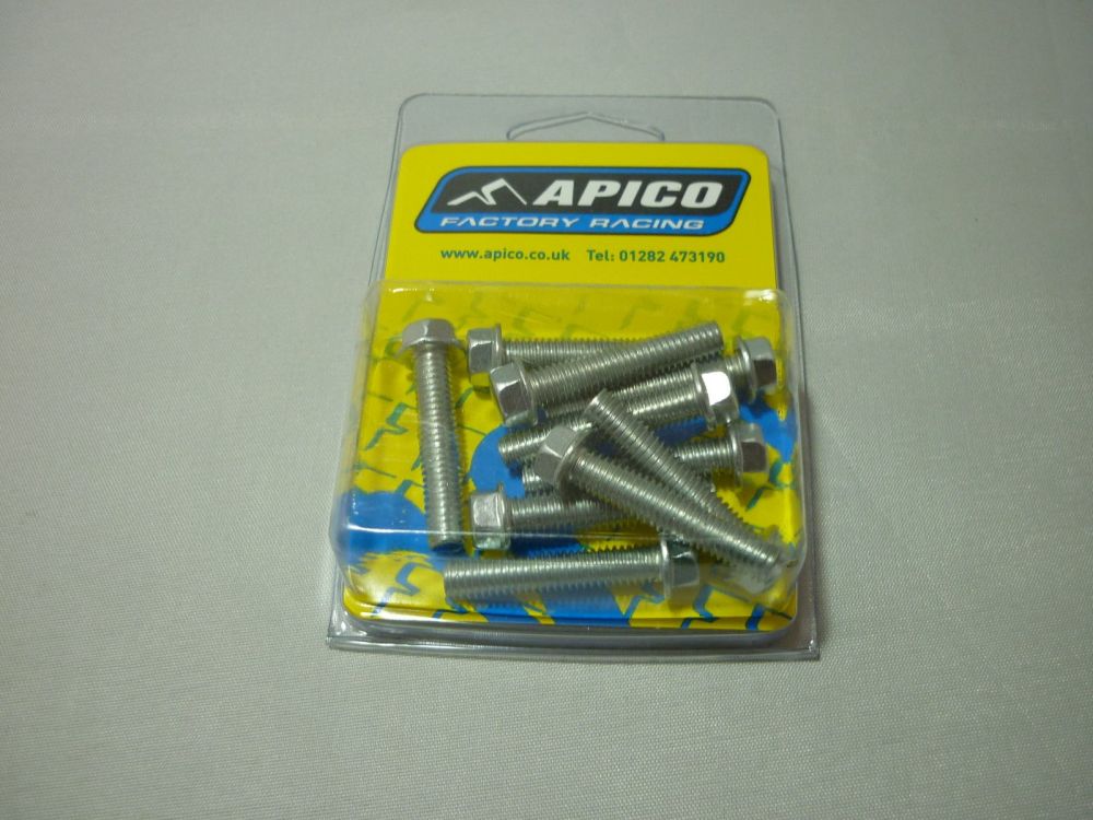 M6 FLANGED BOLTS PACK OF 10 6X30  (280)
