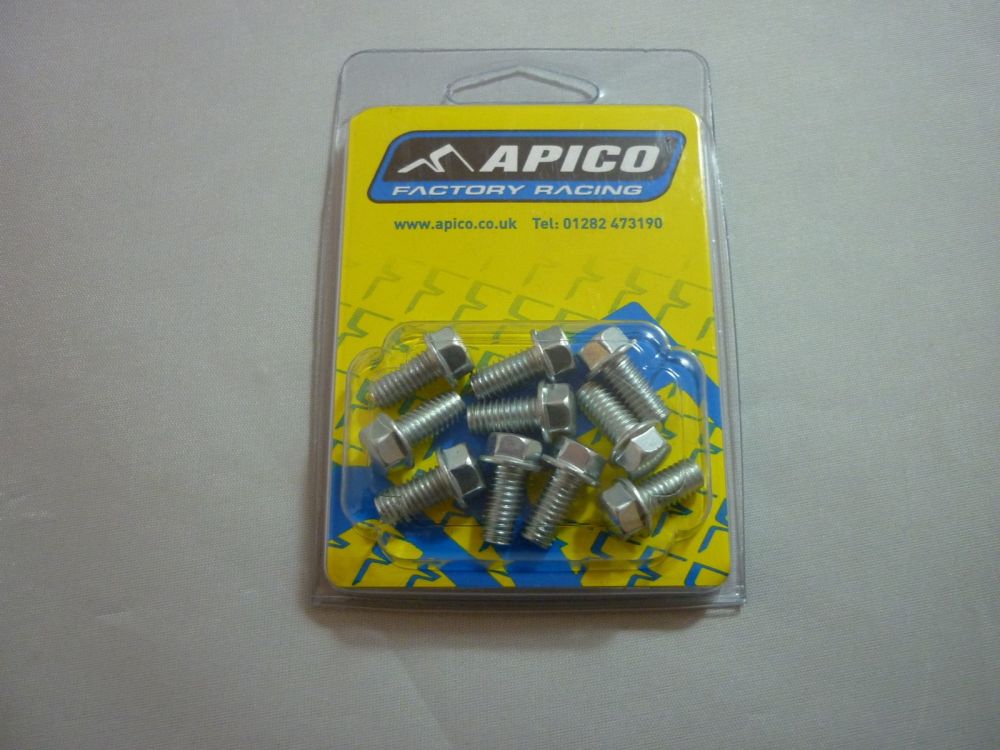 M6 FLANGED BOLTS PACK OF 10 6X12  (284)
