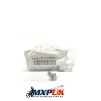 RADIATOR SHROUD FLANGED BOLT 90105-06064 (A11)