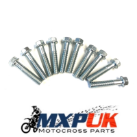 M6 FLANGED BOLTS PACK OF 10 6X30  (280)
