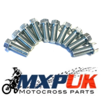 M6 FLANGED BOLTS PACK OF 10 6X16  (283)