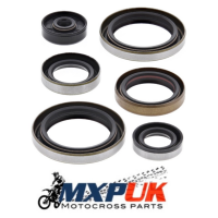 VERTEX ENGINE OIL SEALS KIT (915)
